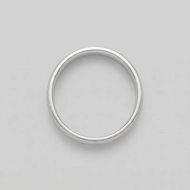 A standalone silver band ring is shown upright with its full circular shape visible. The ring is slightly angled to reveal the rounded domed exterior, smooth inner opening, narrow raised rim lines along both edges, and fine linear brushing around the band. No stones, settings, logos, engravings, prints, or other embellishments are visible.